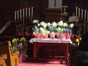 Easter Flowers