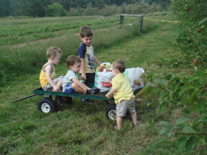 Apple Picking